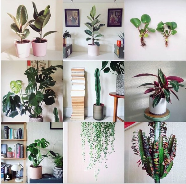 best nine for website post.jpg