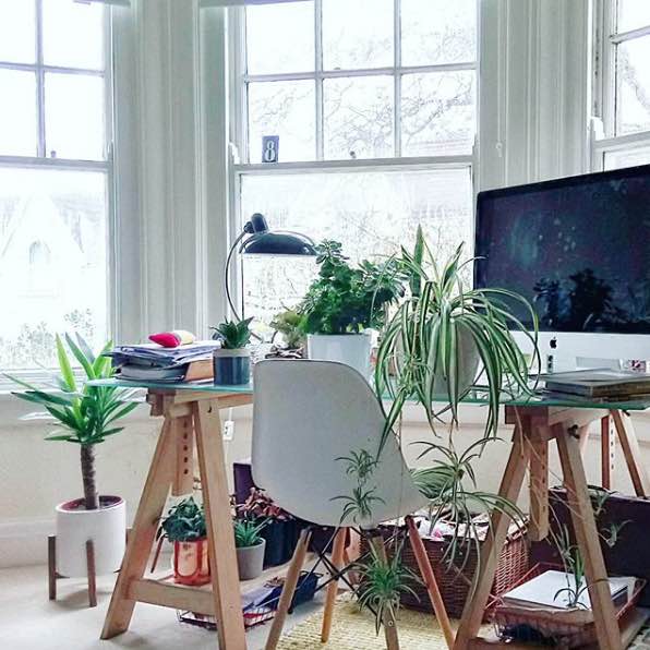 houseplants:interiors post 6