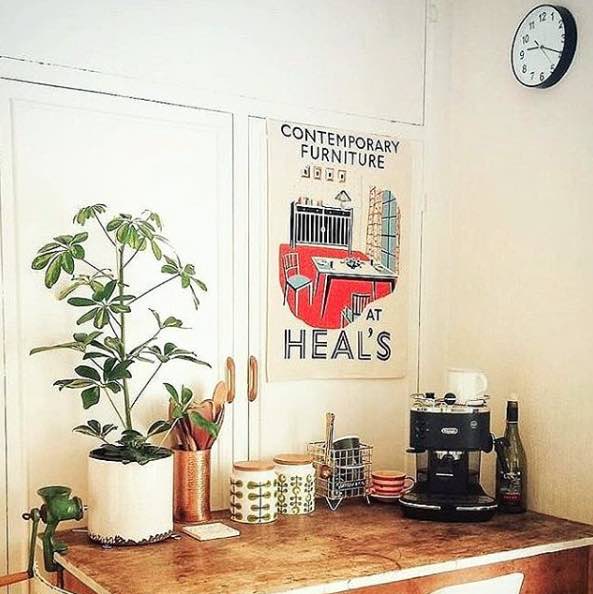 houseplants:interiors post4.jpg