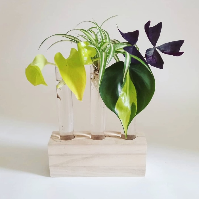 IMG_20180521_211849_176#1