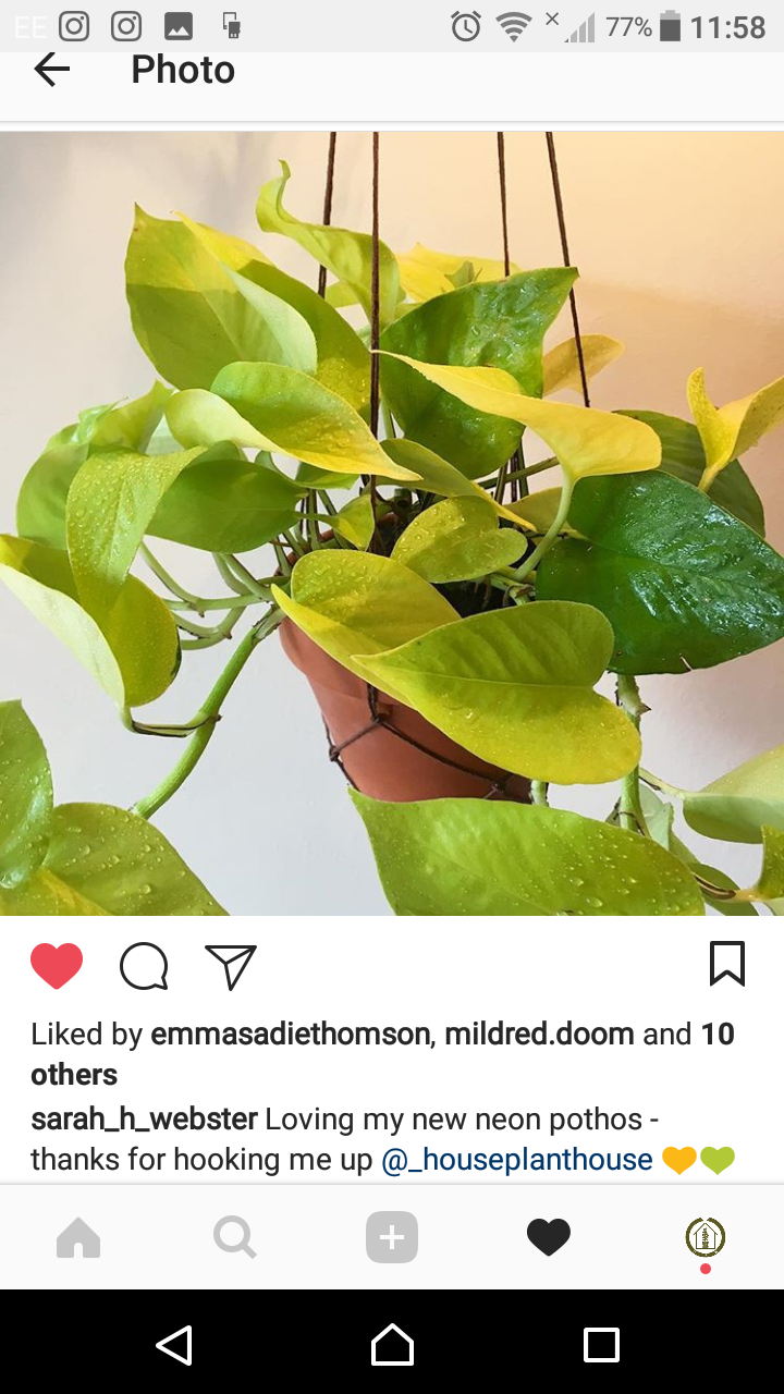 Screenshot_20180528-115841