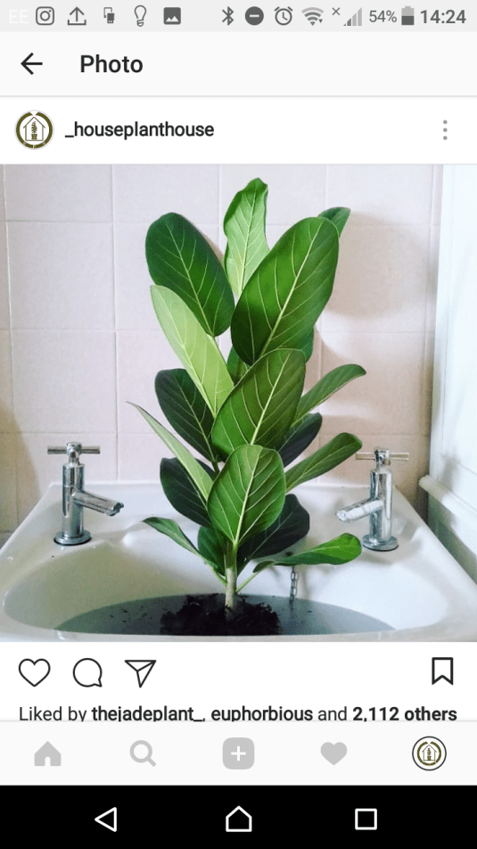 Screenshot_20180710-142441