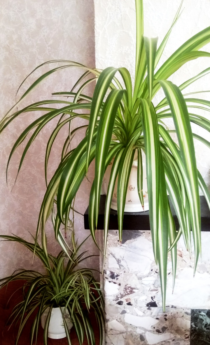 IMG_20180818_212052_925