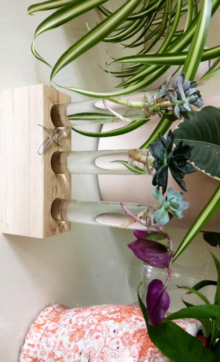 IMG_20180826_141044_502