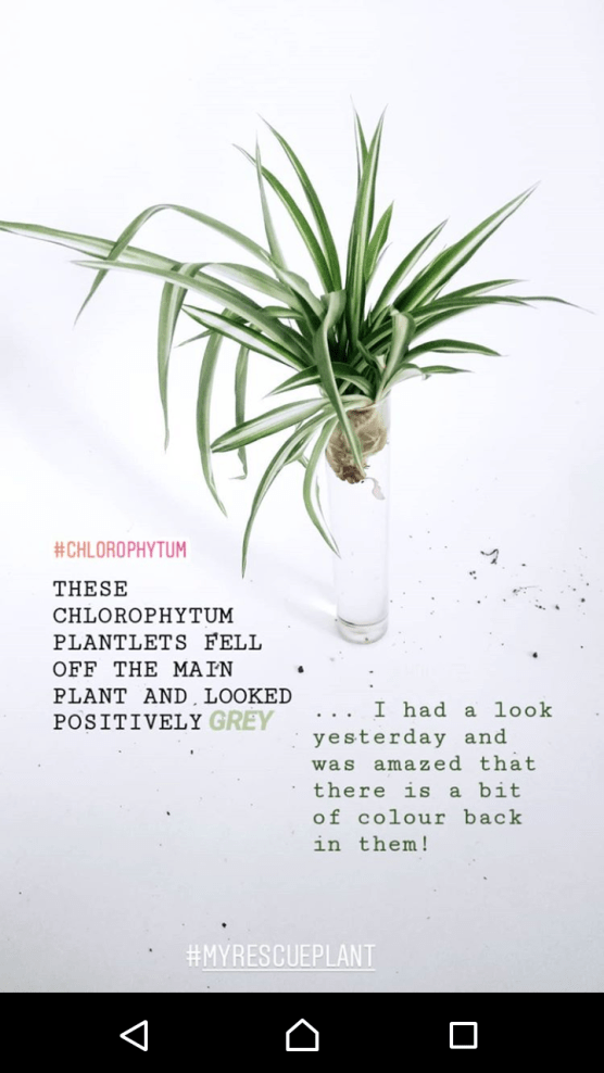 Screenshot_20180819-223831