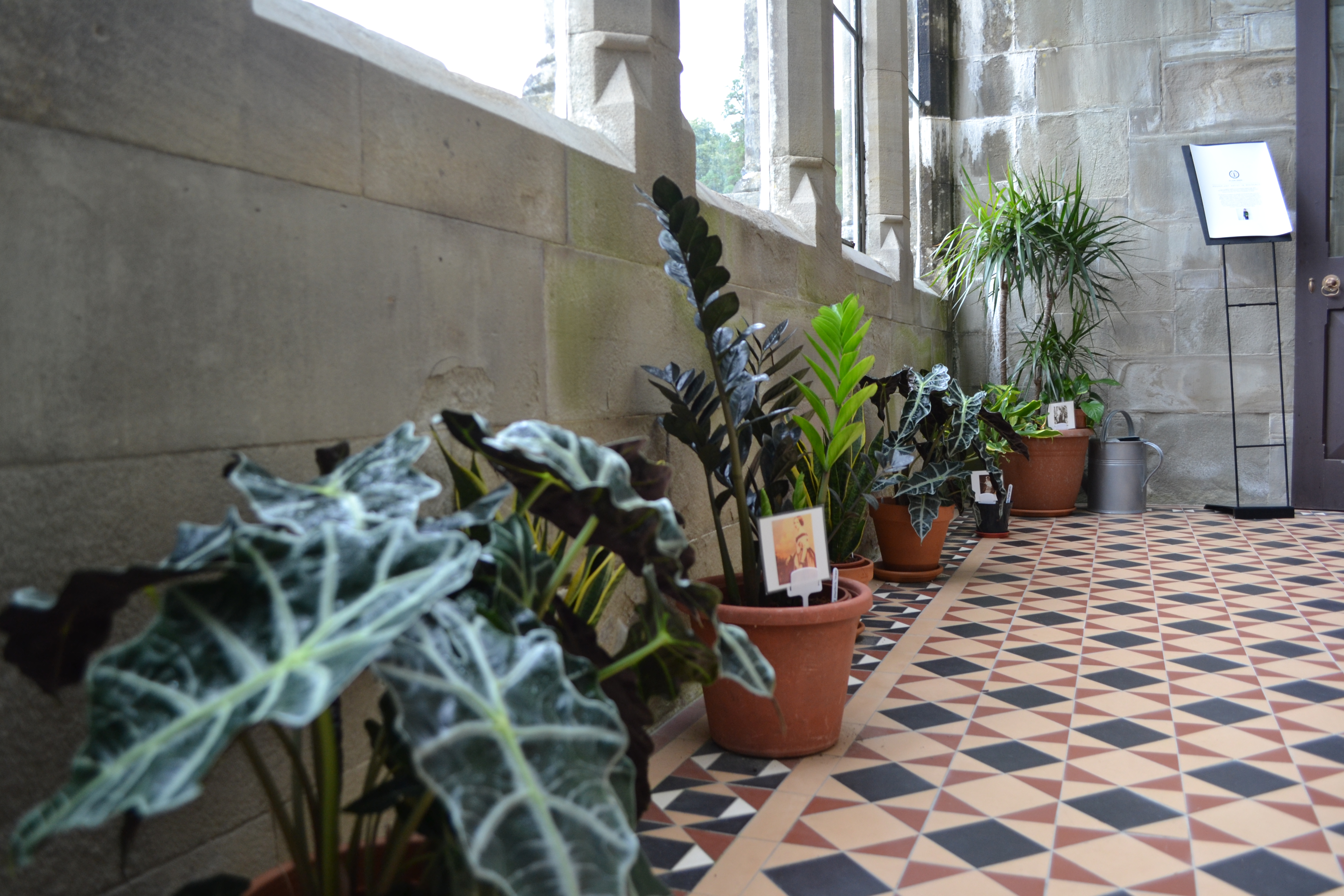 HPH finished project PRESS 6