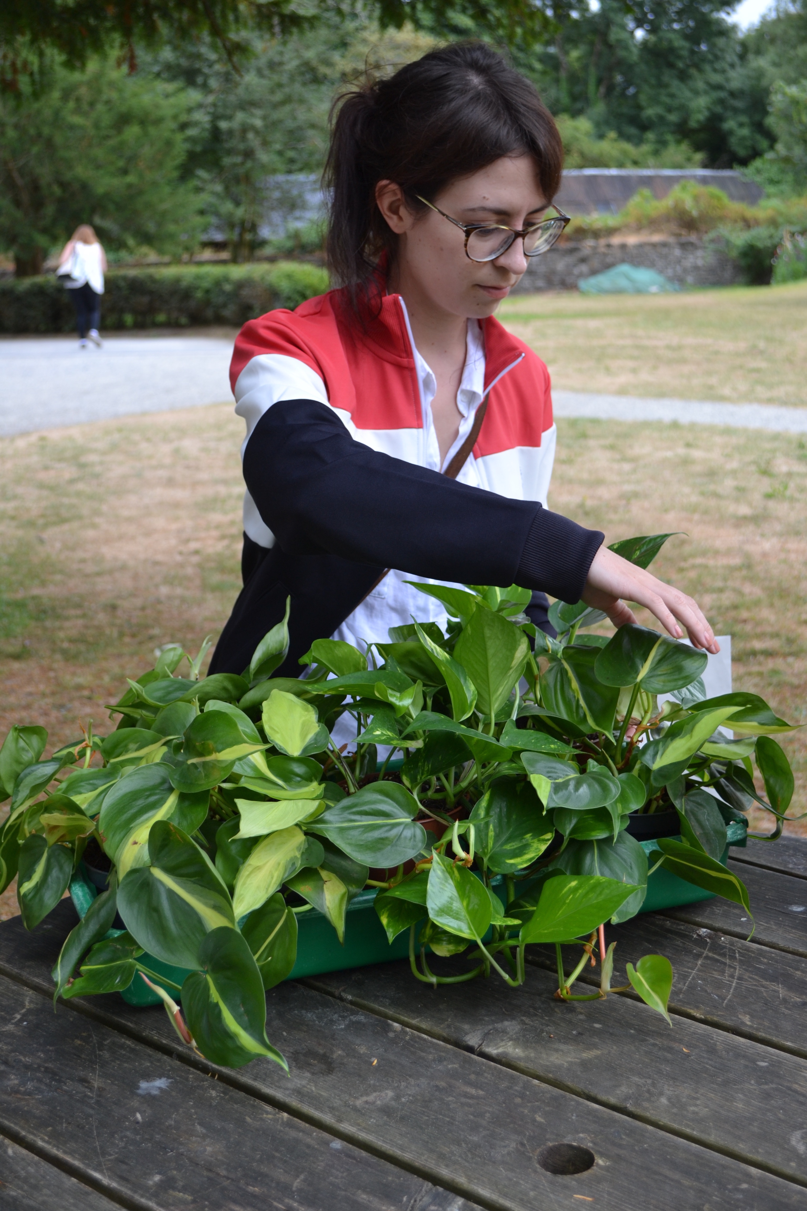 HPH portrait PRESS 8