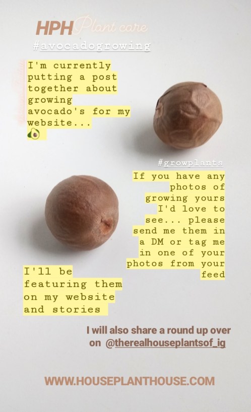 IMG_20181012_144427_385