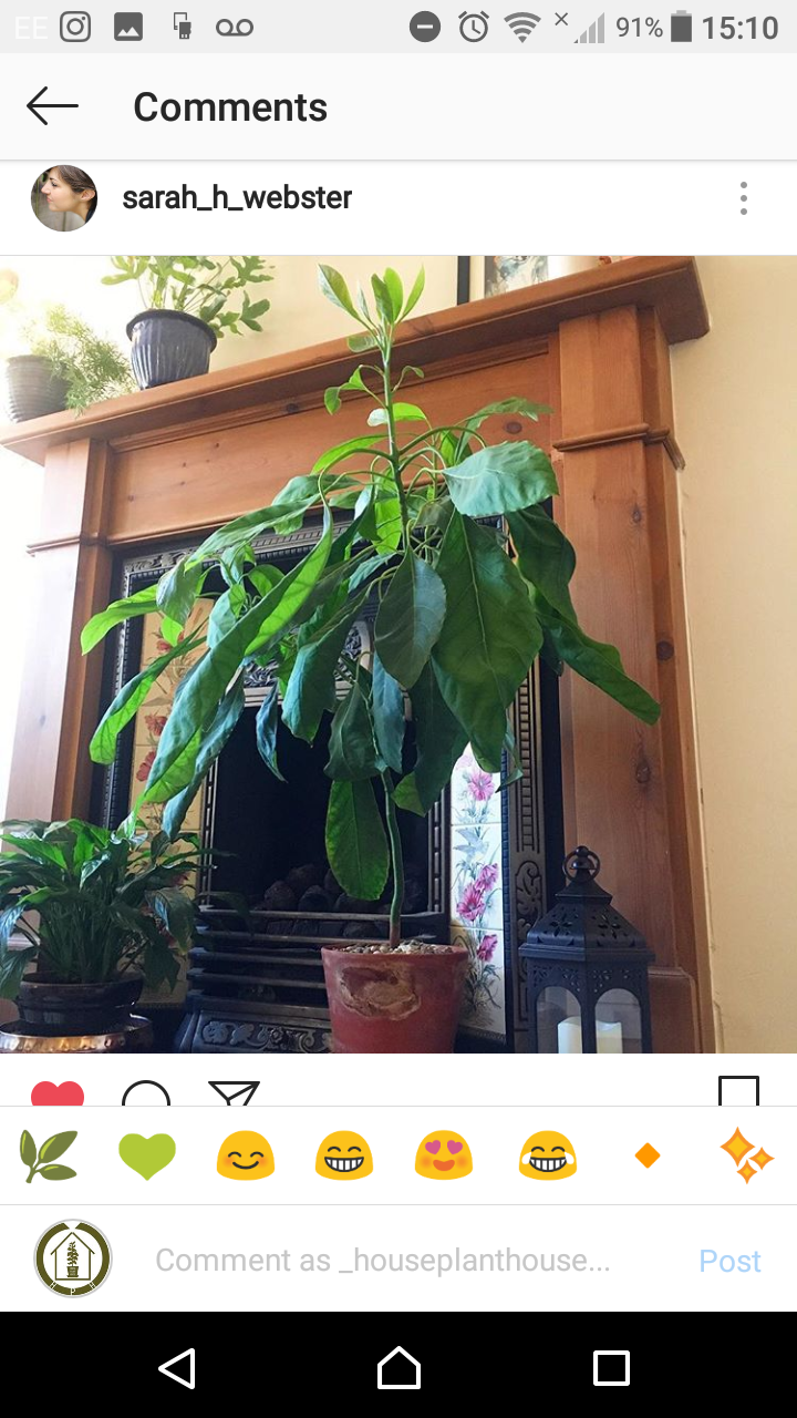 Screenshot_20181012-151042