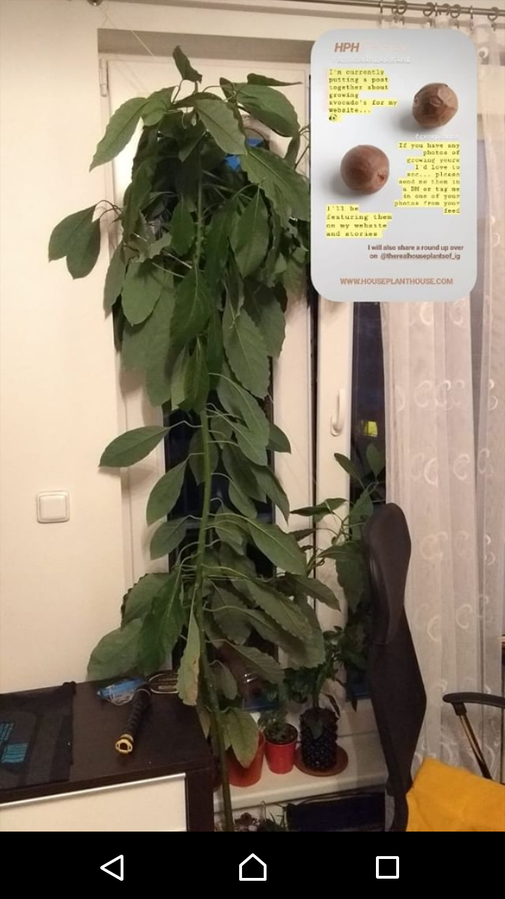 Screenshot_20181013-081105