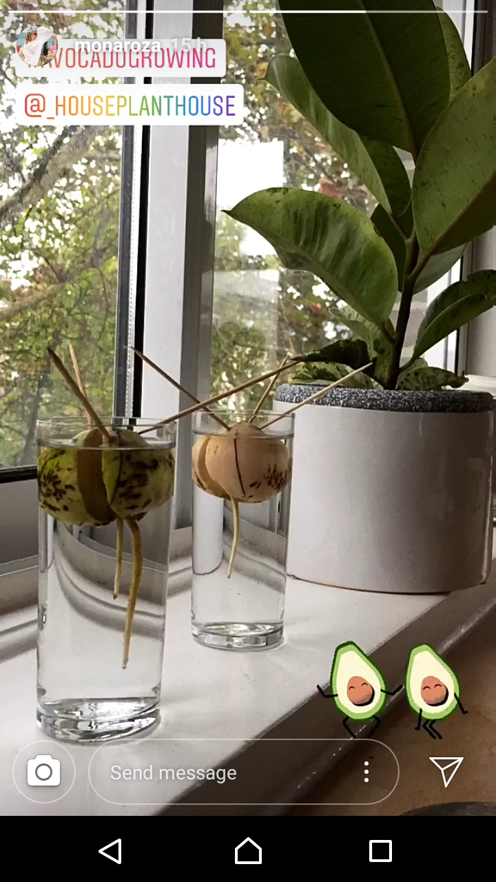 Screenshot_20181013-081154