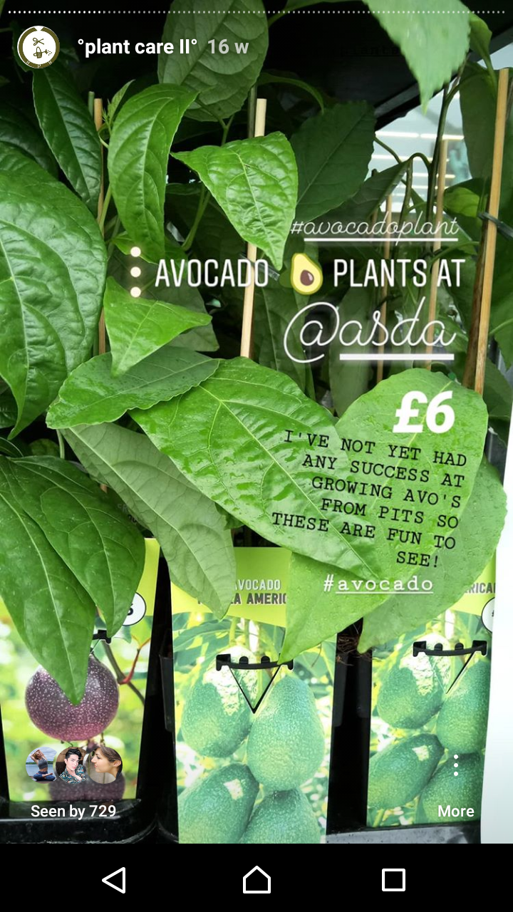 Screenshot_20181013-223018