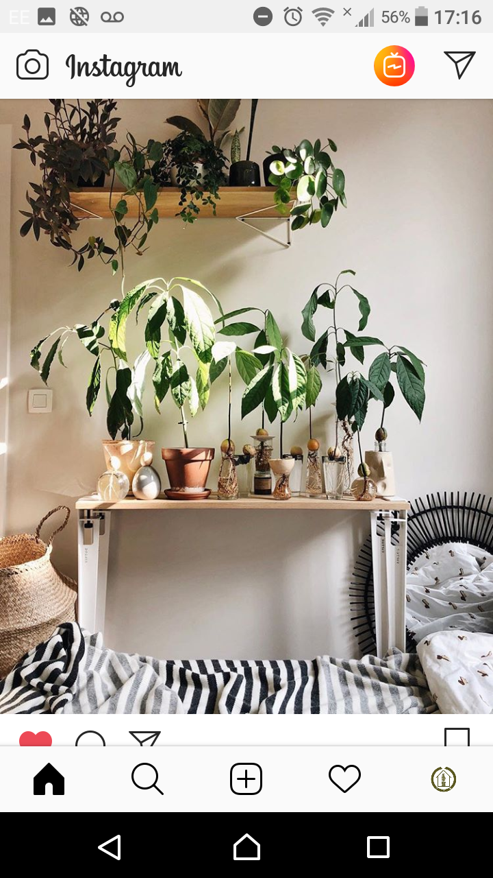 Screenshot_20181019-171625