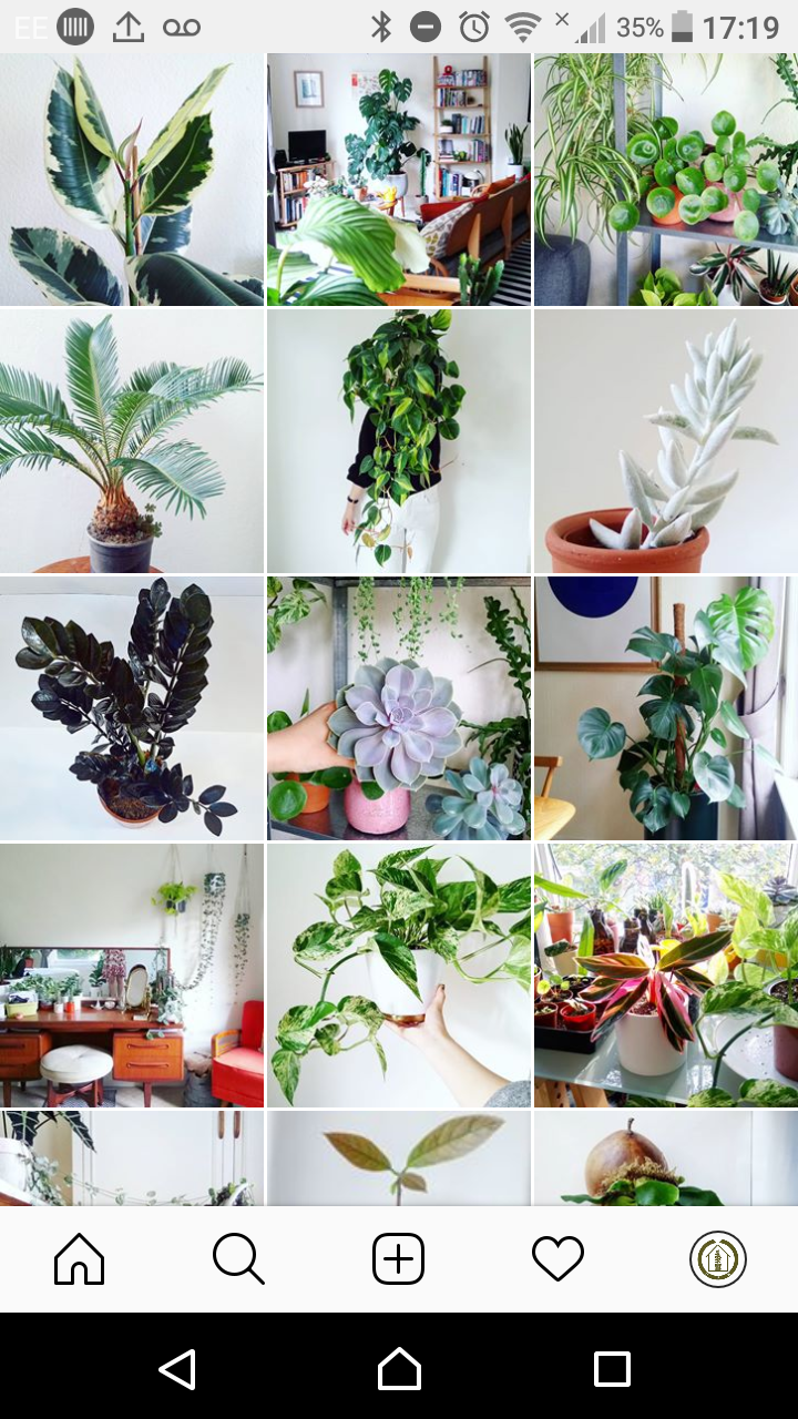 Screenshot_20181220-171916