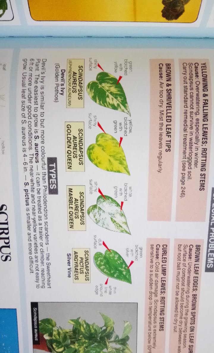 IMG_20190315_125955_763