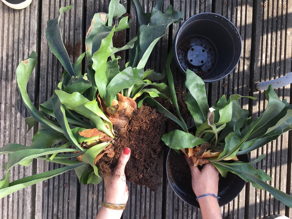 UNADJUSTEDNONRAW_thumb_123c