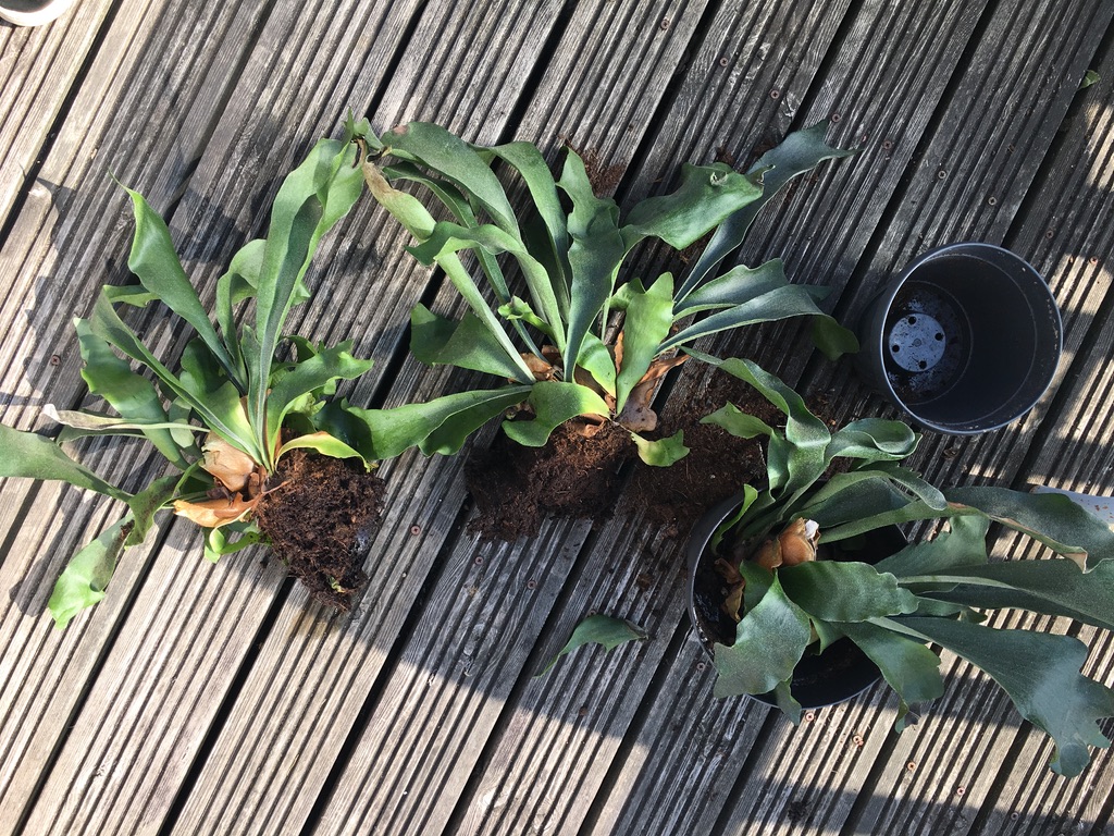 UNADJUSTEDNONRAW_thumb_123f