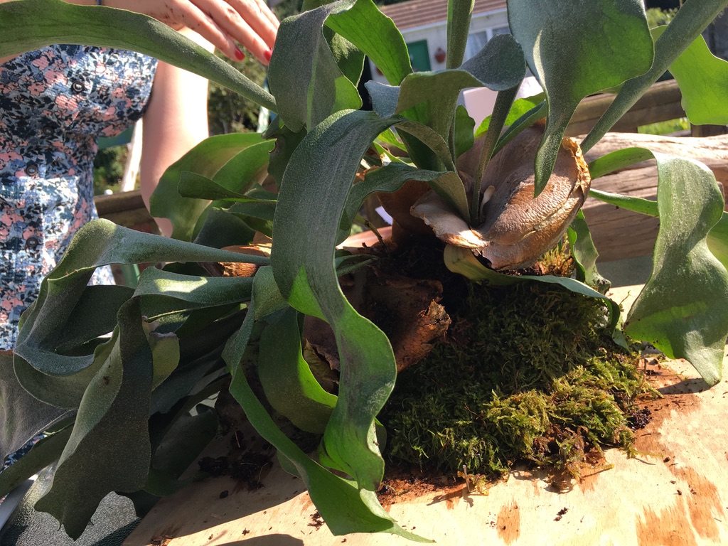 UNADJUSTEDNONRAW_thumb_1258