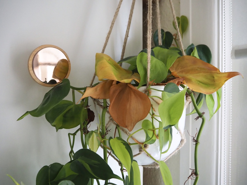 95vQEux3Tr+3dKmQmguAjw_thumb_180a