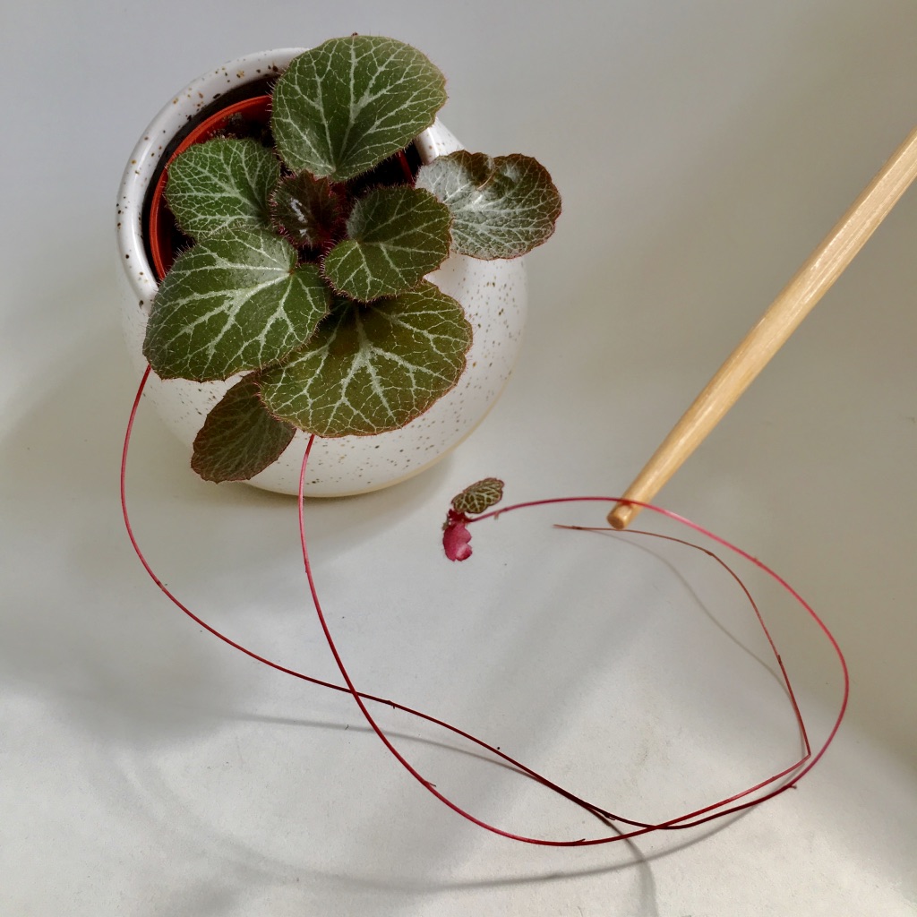 F1mm5euhSSyjm7uXaySJeg_thumb_a5