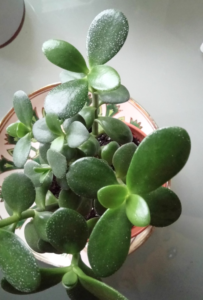 ph8braOnS3KMBYT2Bg7MZg_thumb_1796