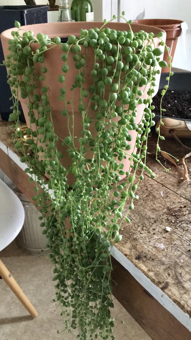 Z3kfnB3URqOcWcKhHdBXsA_thumb_5ca