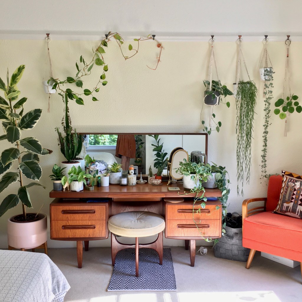 Why are indoor plants&nbsp;trending?
