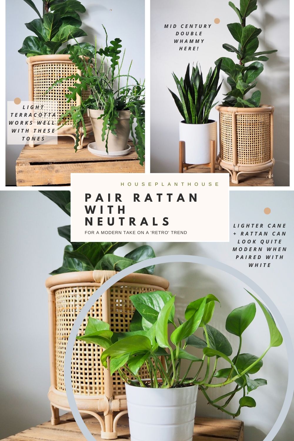 PAIR RATTAN WITH NEUTRALS