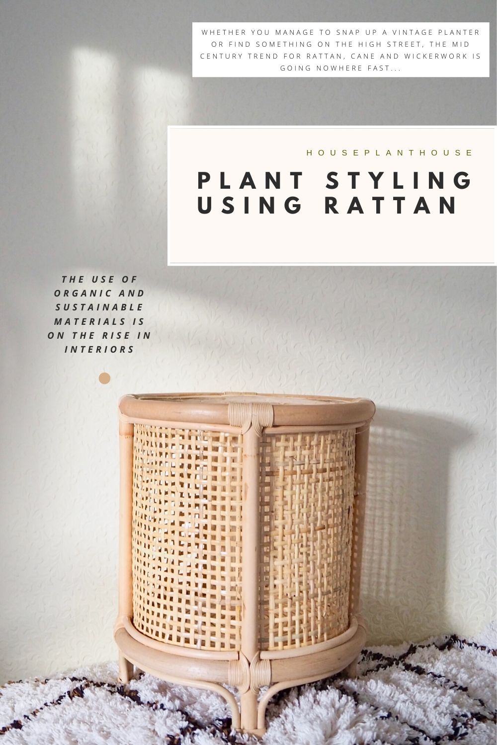 PLANT STYLING USING RATTAN