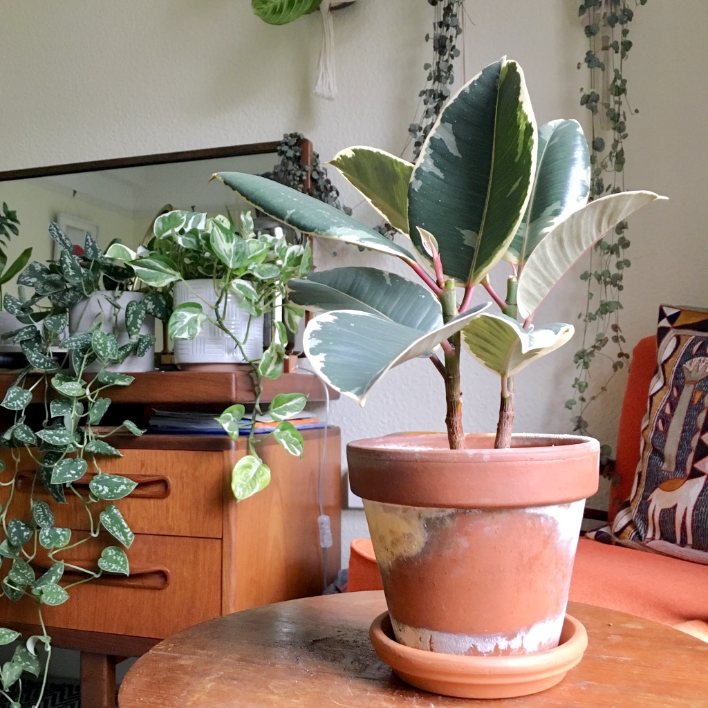 gkJh5omjSamHb%lC1odKxw_thumb_595