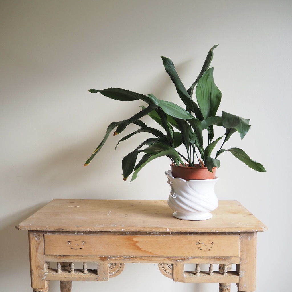 iqQJwBUoTl6kB4c6u2HQYA_thumb_2e2e