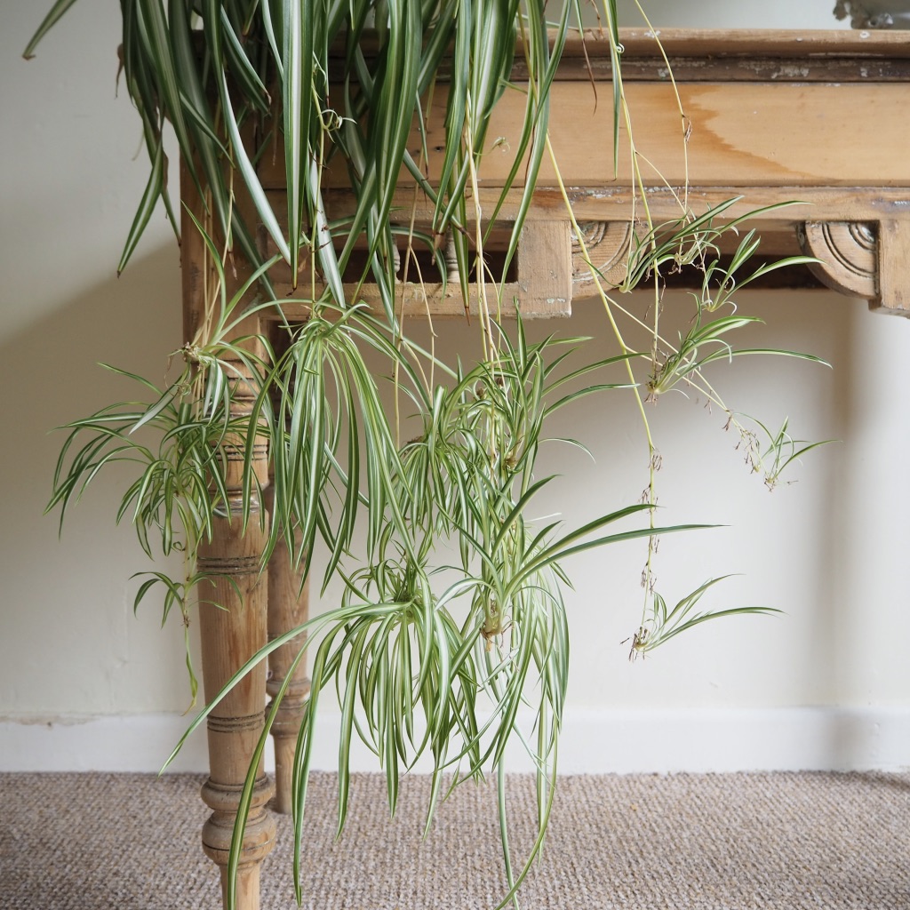 zXCDW0IaTaOmMMo7TrtYlw_thumb_2e36