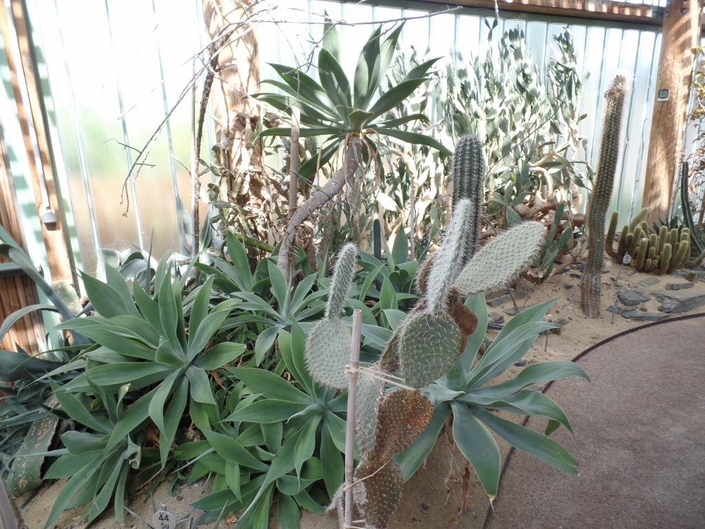 GT8WISHAQL+099oTdFf4mA_thumb_1