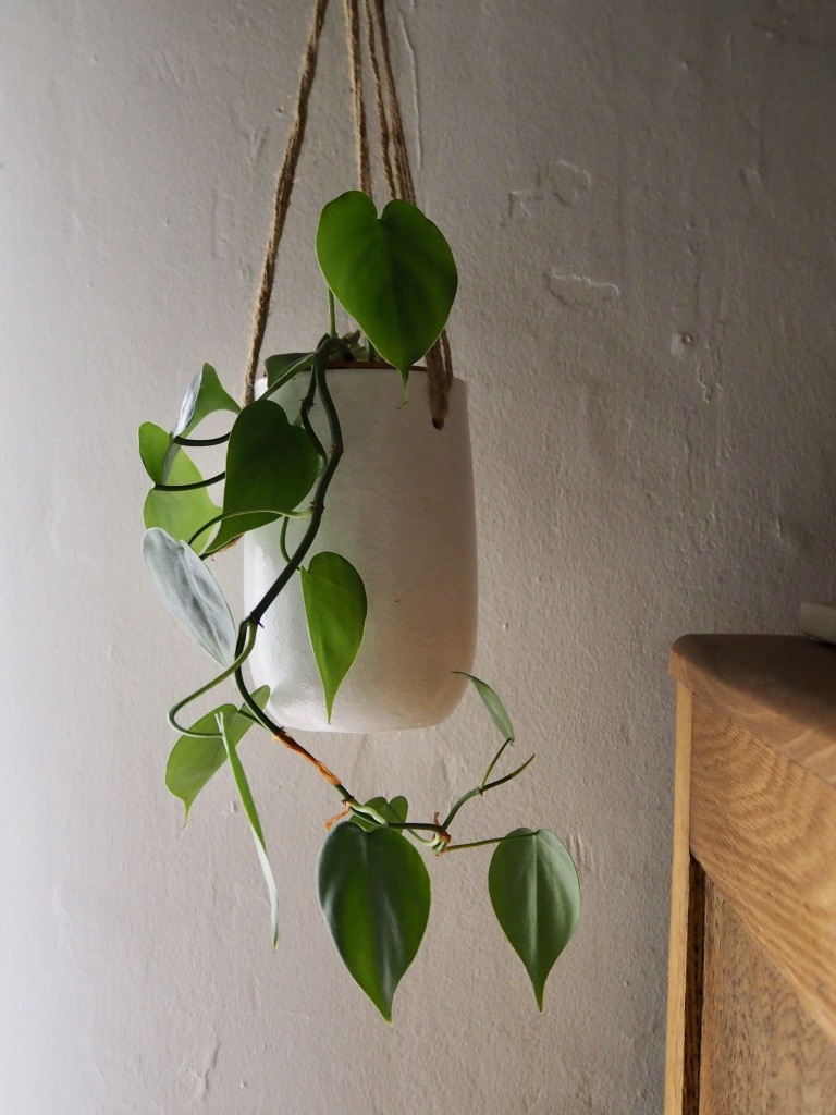 HHQfWD56Td+7jAoKXGrkAA_thumb_50ee