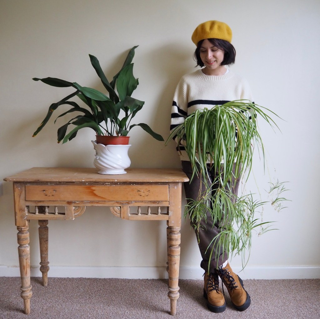 Heirloom houseplants + greenhouse&nbsp;update