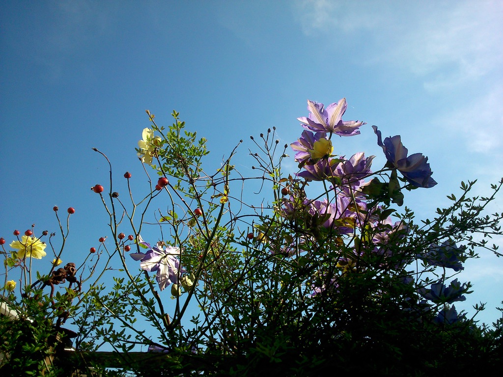 UNADJUSTEDNONRAW_thumb_8465