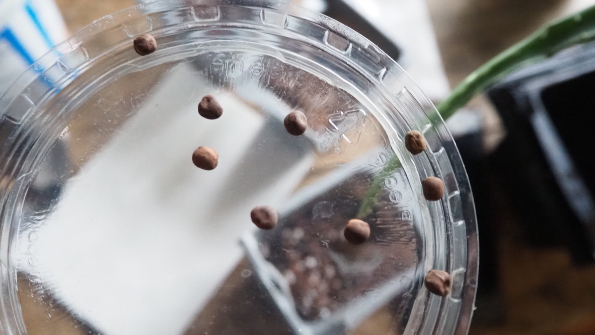 UNADJUSTEDNONRAW_thumb_9a58