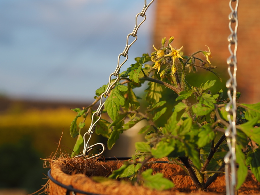 UNADJUSTEDNONRAW_thumb_9d9f