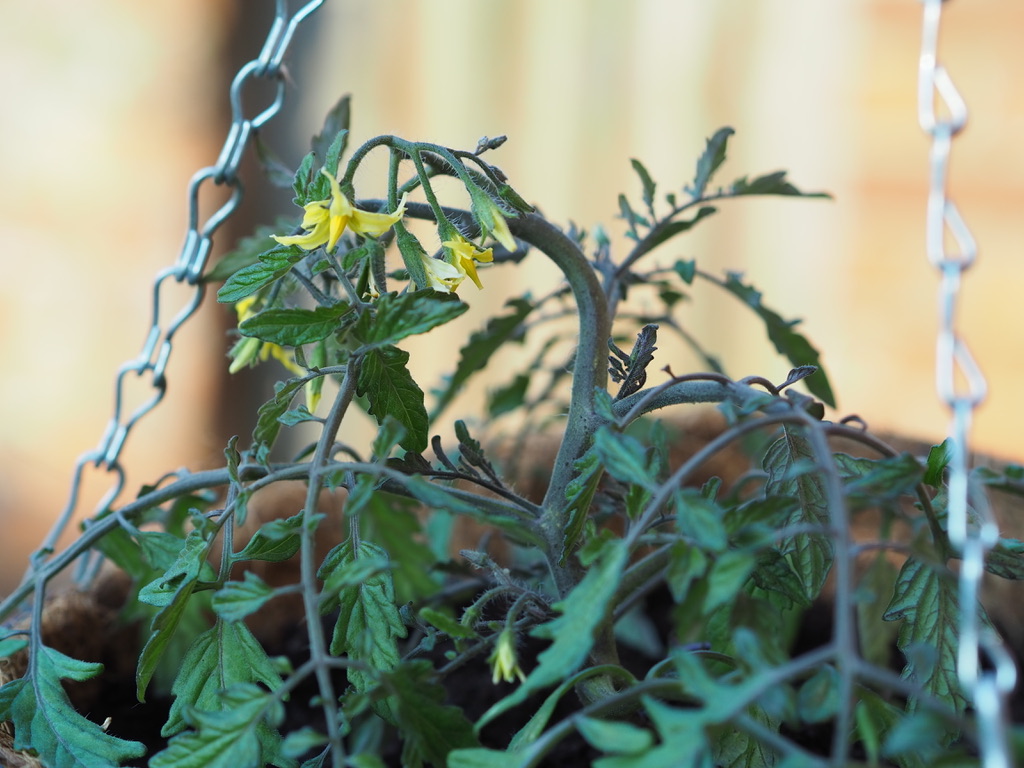 UNADJUSTEDNONRAW_thumb_9da0