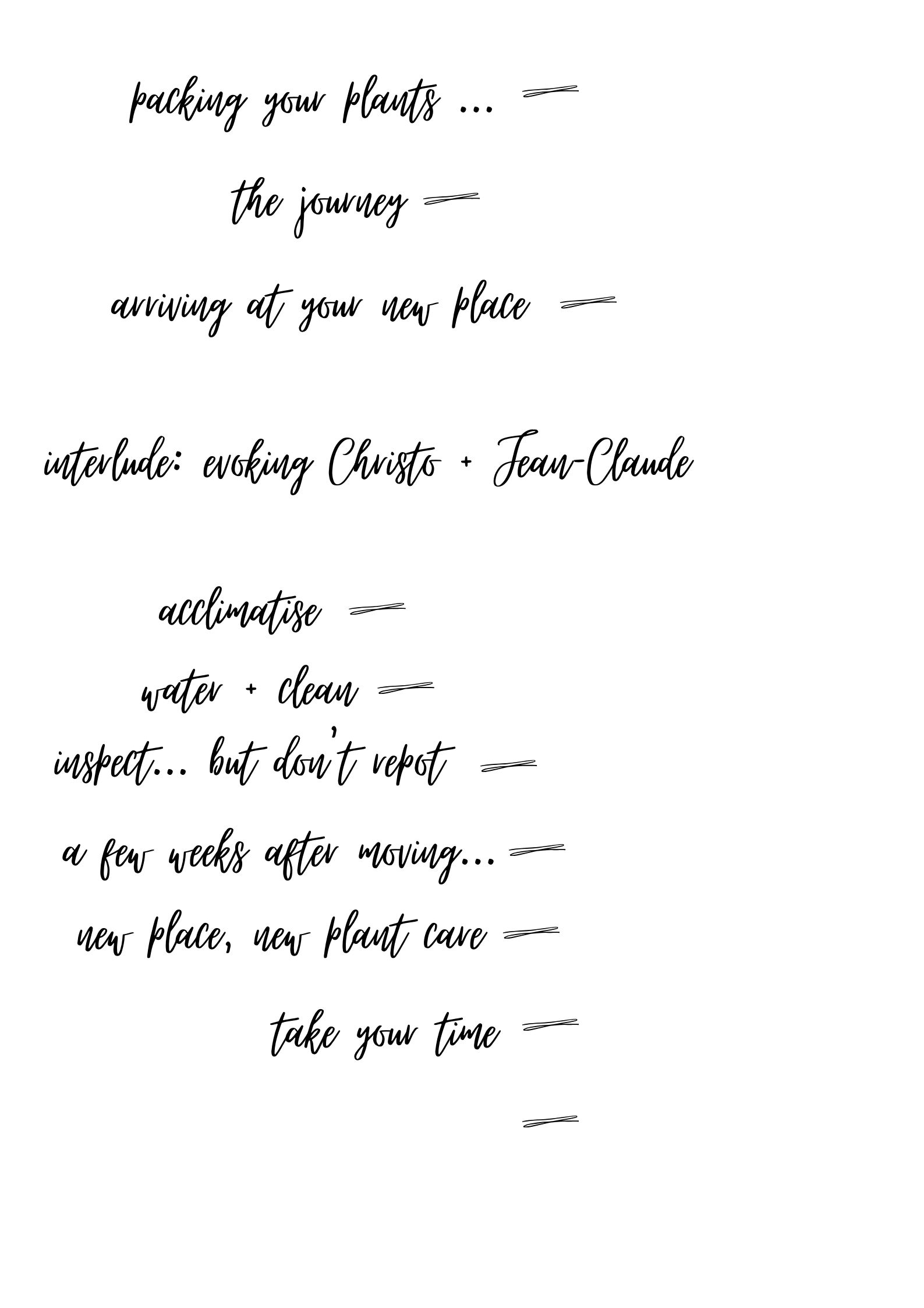 new place new plant care