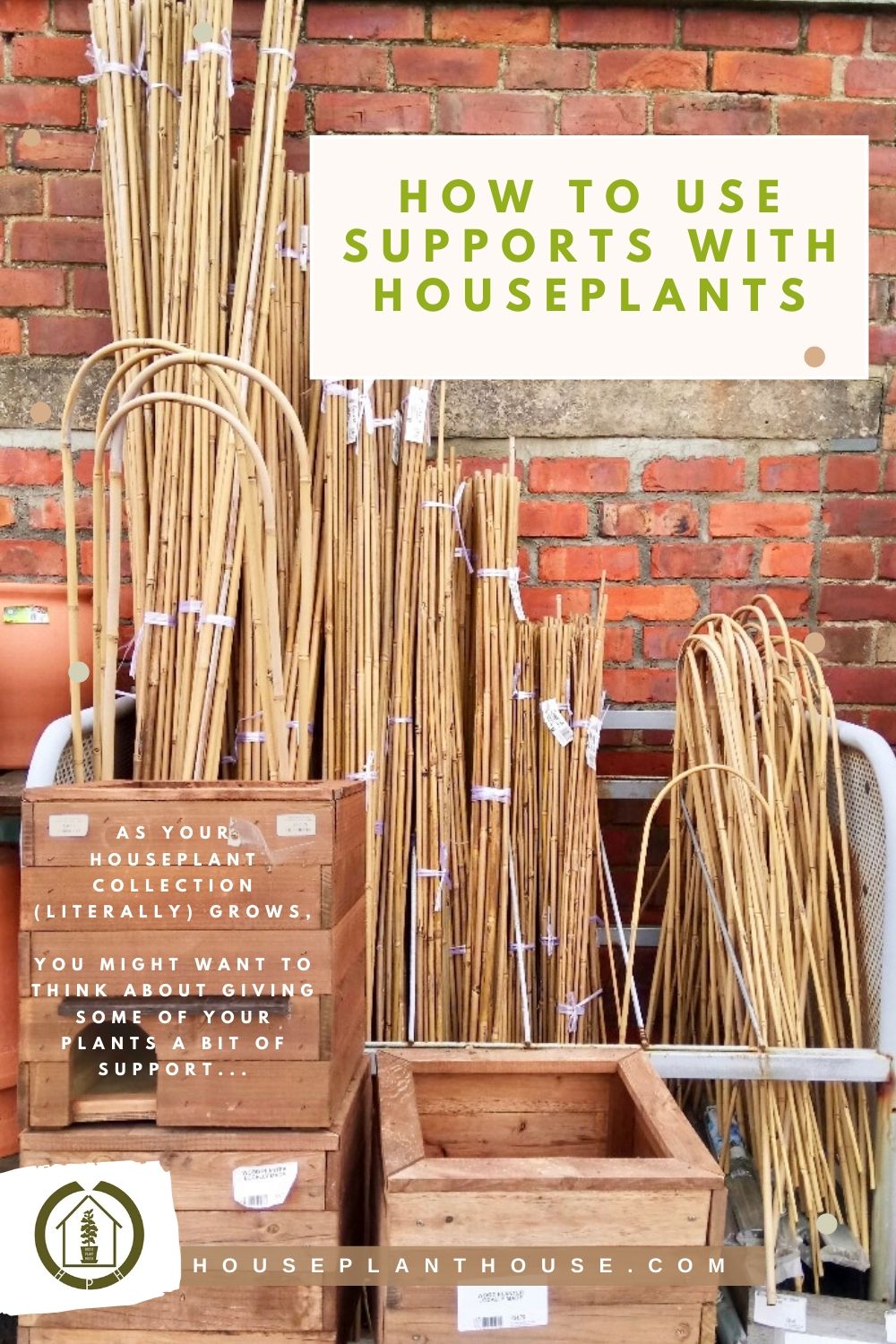 supports with monstera plants new