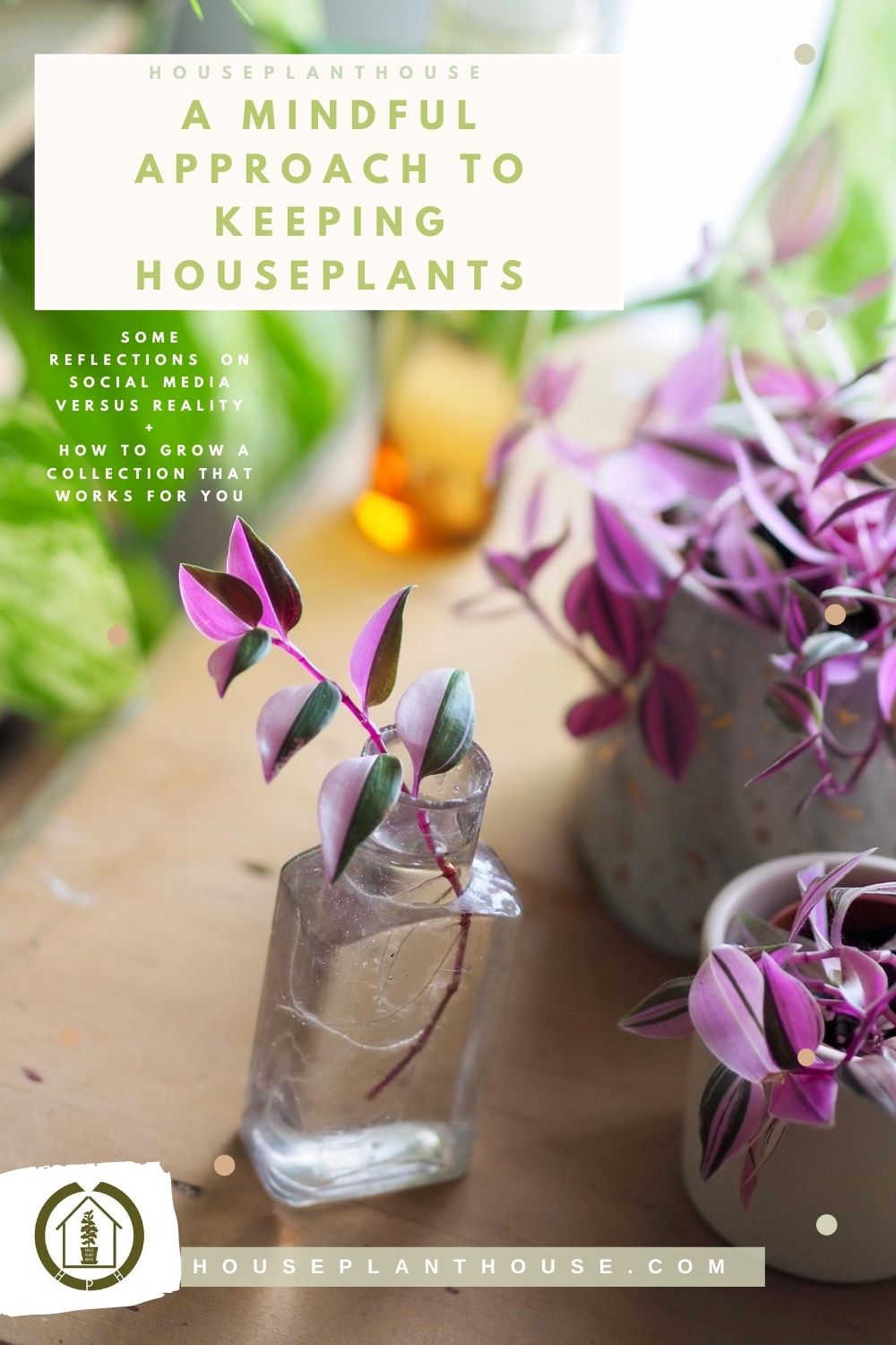 a mindful approach to keeping houseplants (1)