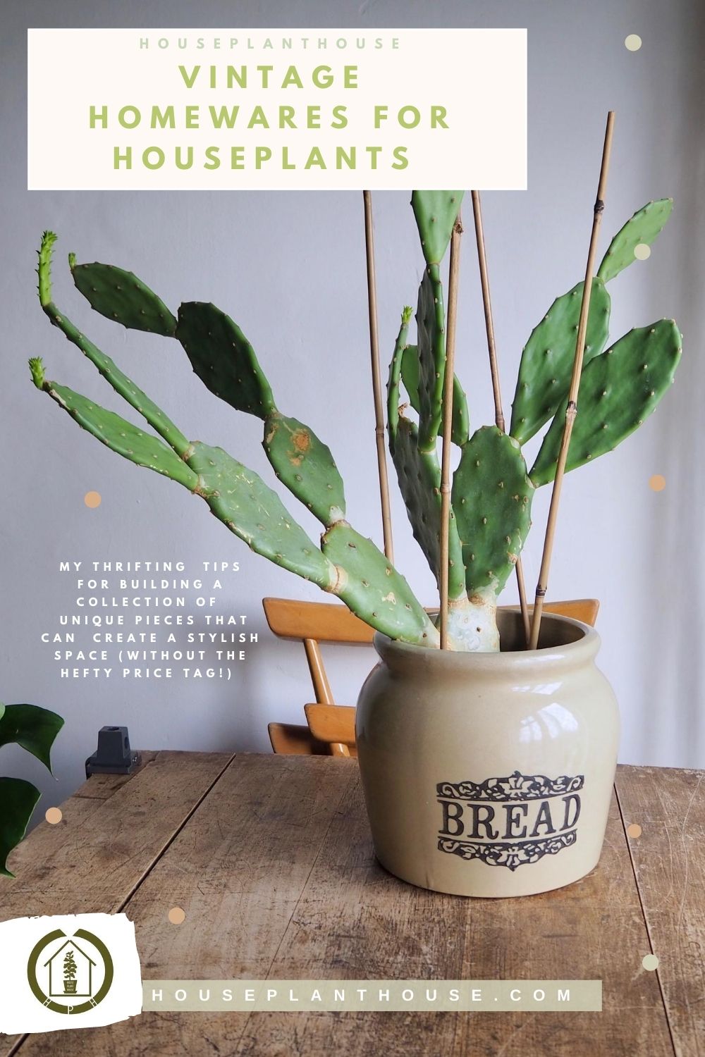 Copy of a mindful approach to keeping houseplants