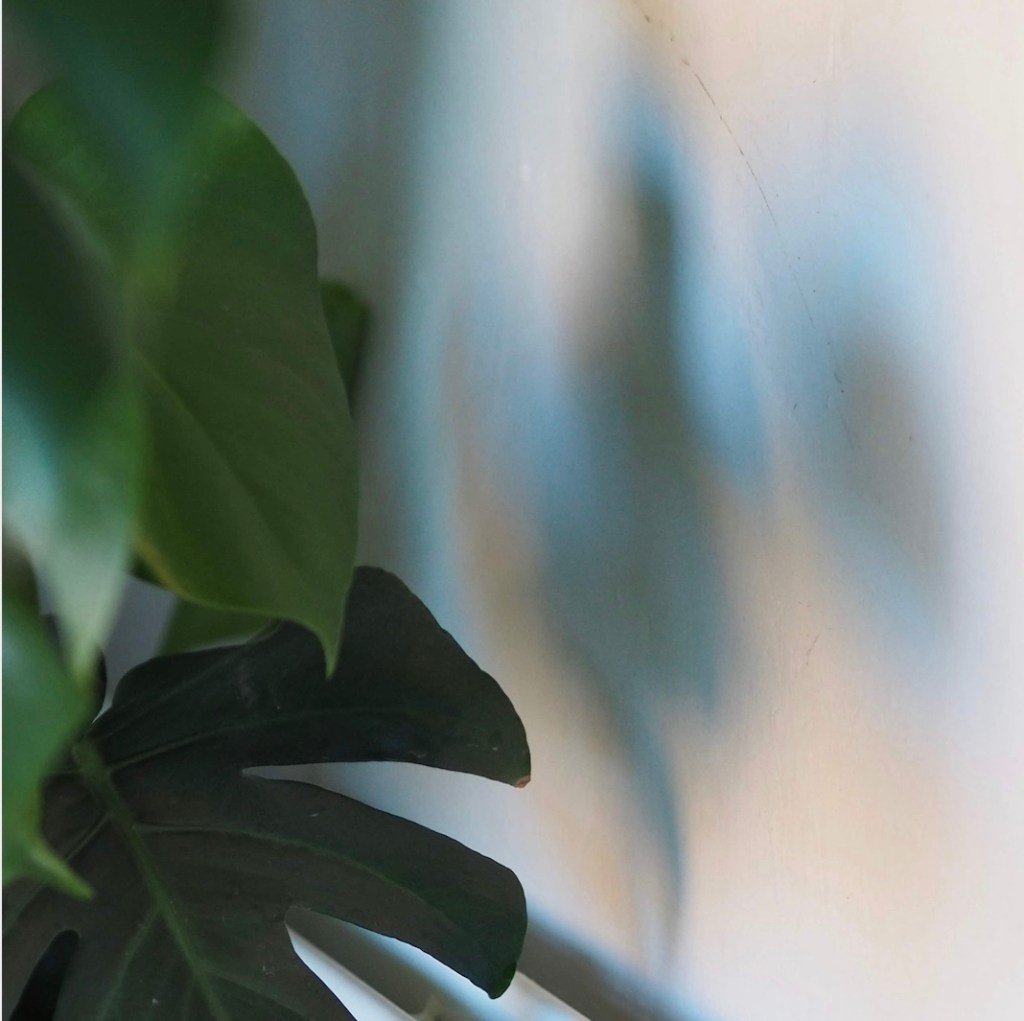 HPH photo diary /&nbsp;02.