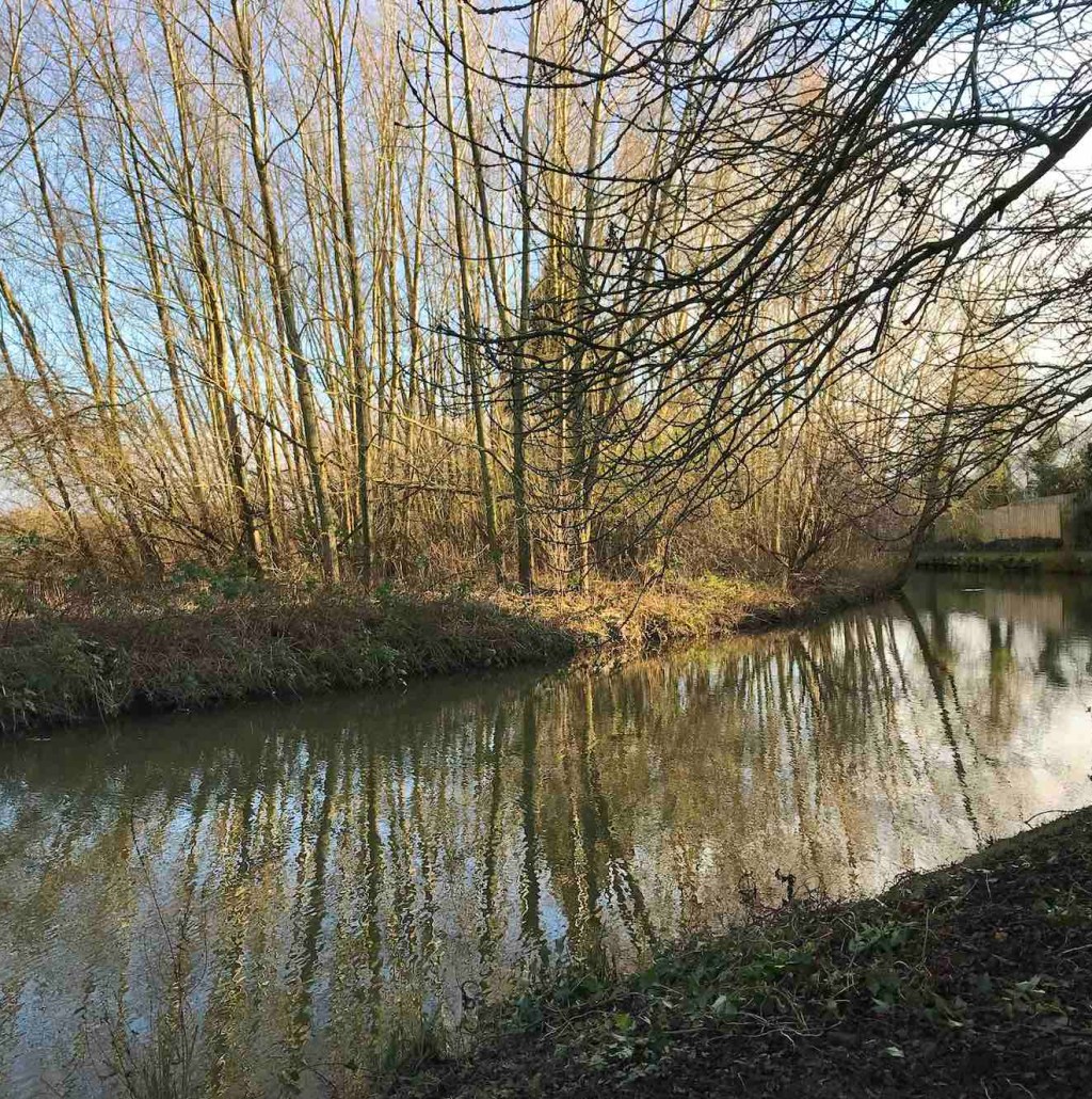 HPH photo diary / 09. Low&nbsp;Sun