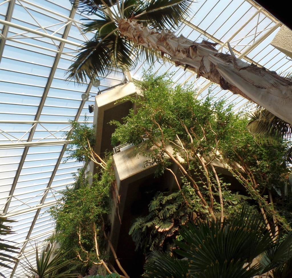 HPH visits… The Barbican&nbsp;Conservatory