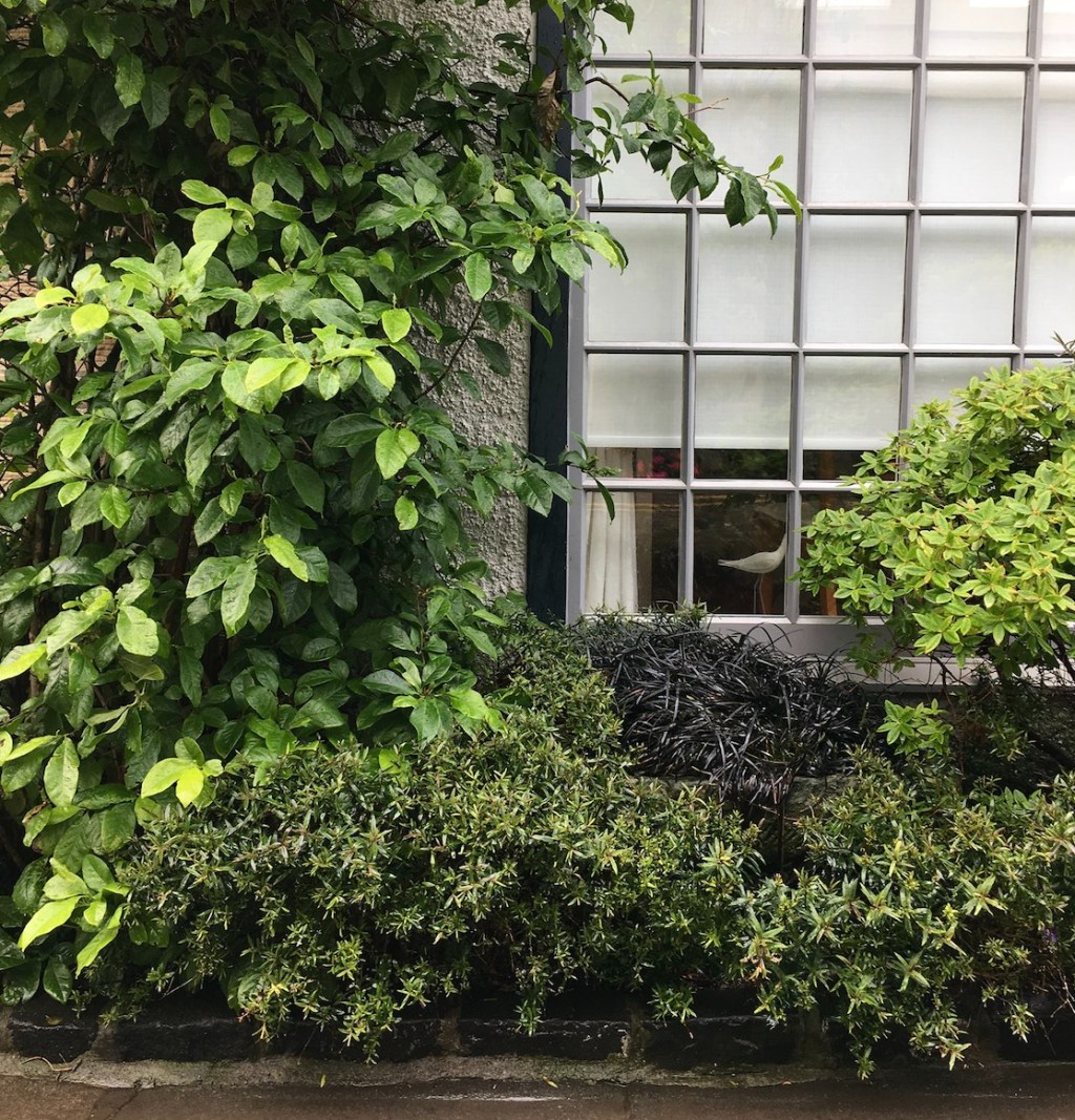 HPH visits… Edinburgh Part 2: Stockbridge + Dean&nbsp;Village