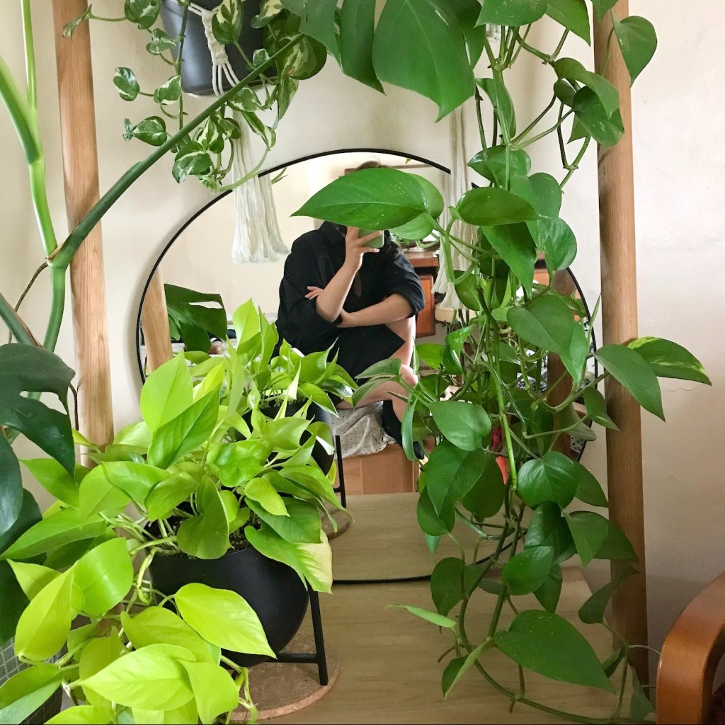 HOUSE PLANT HOUSE is 4 years&nbsp;old!