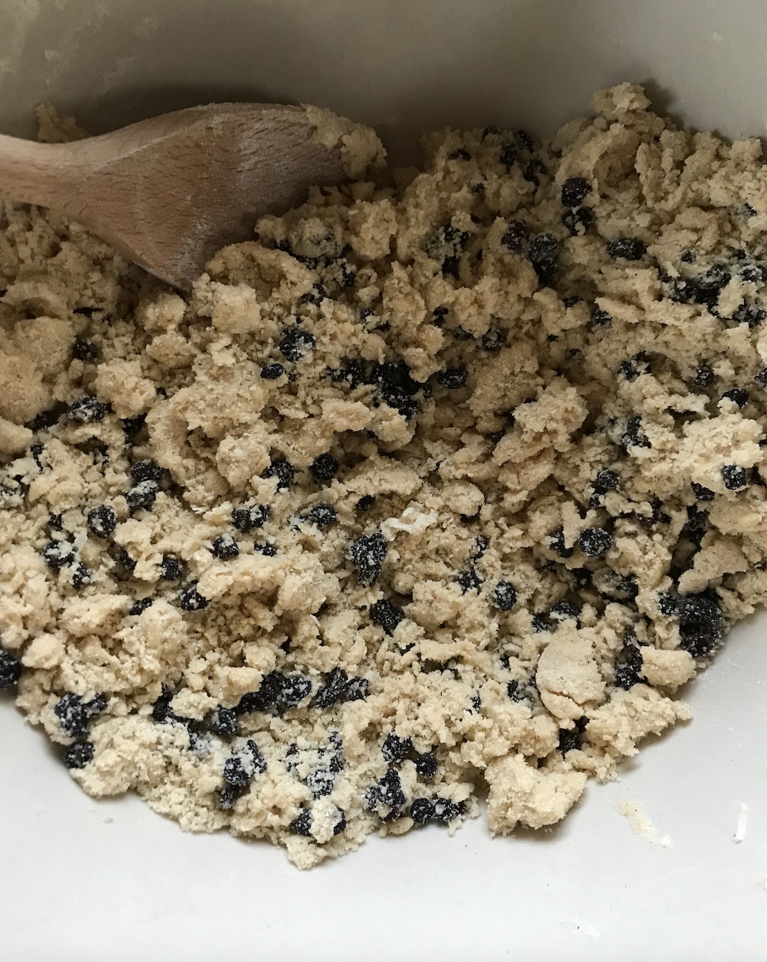 HPH photo diary / 19. Walks, Plants, Shadows