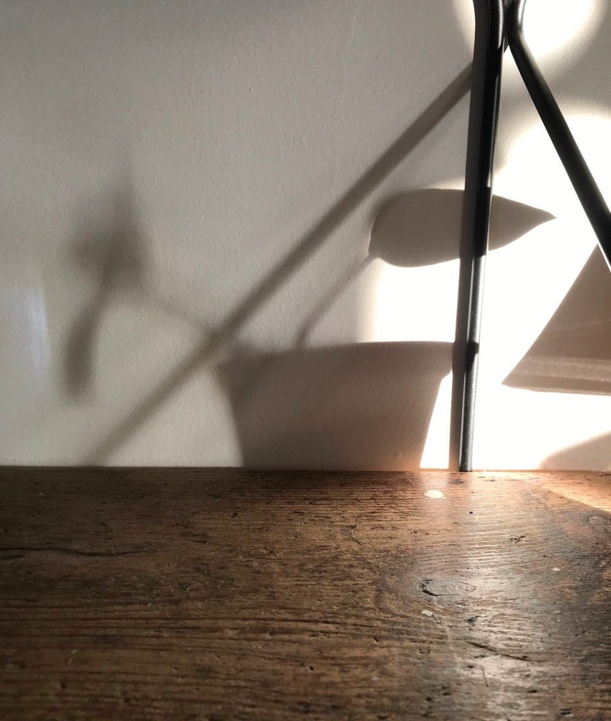 Plant Shadows